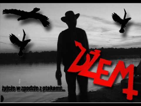 Dżem - Wehikuł Czasu