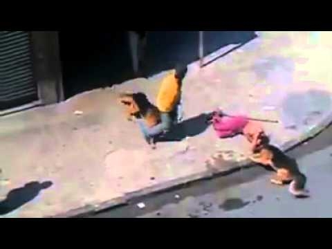 Guy Throwing Bricks At Dog Gets What He Deserves