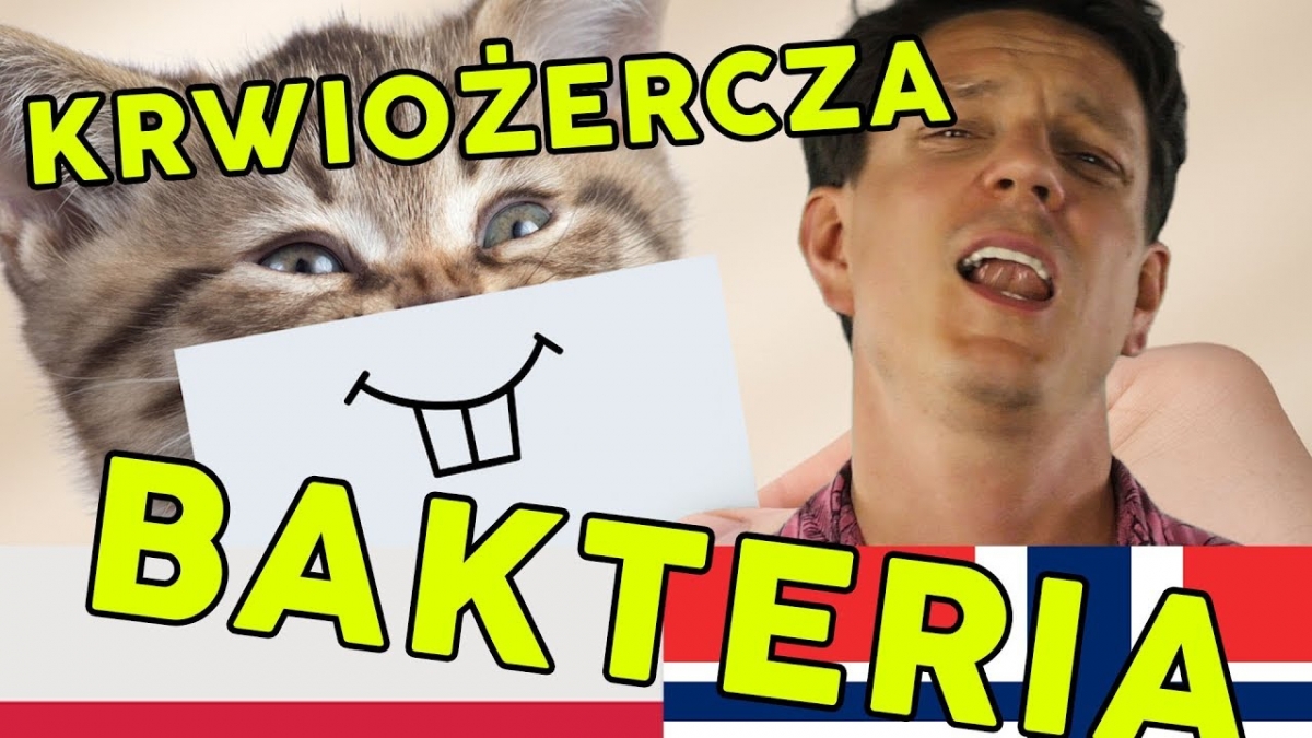 Uciekający filet łapie fotoradar, a bakteria je ludzi czyli / Podsumowanie #3