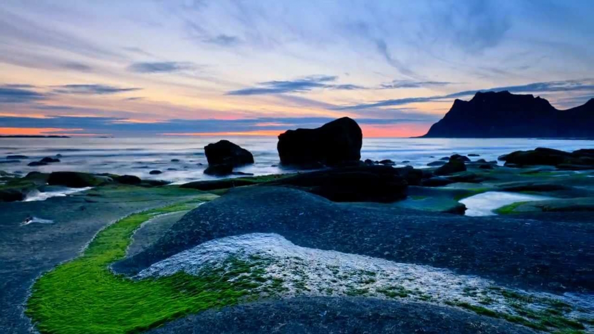 The Arctic Light