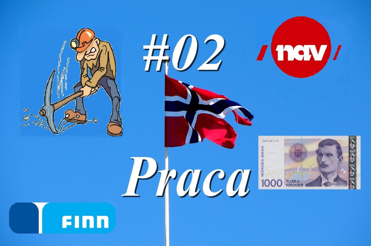 Nowy w Norwegii - #02 Praca