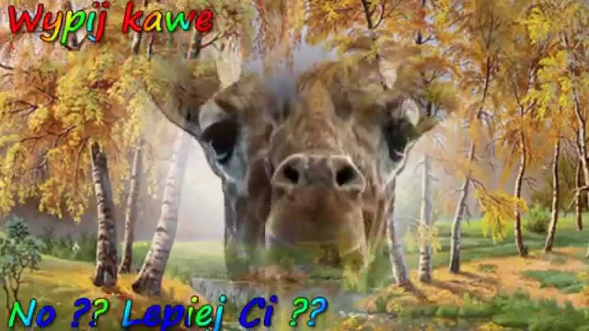 Hej Miśki ...  Czas wstać !!!