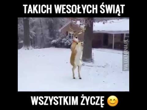 15597024 1181582178558312 5720666382643757056 n
