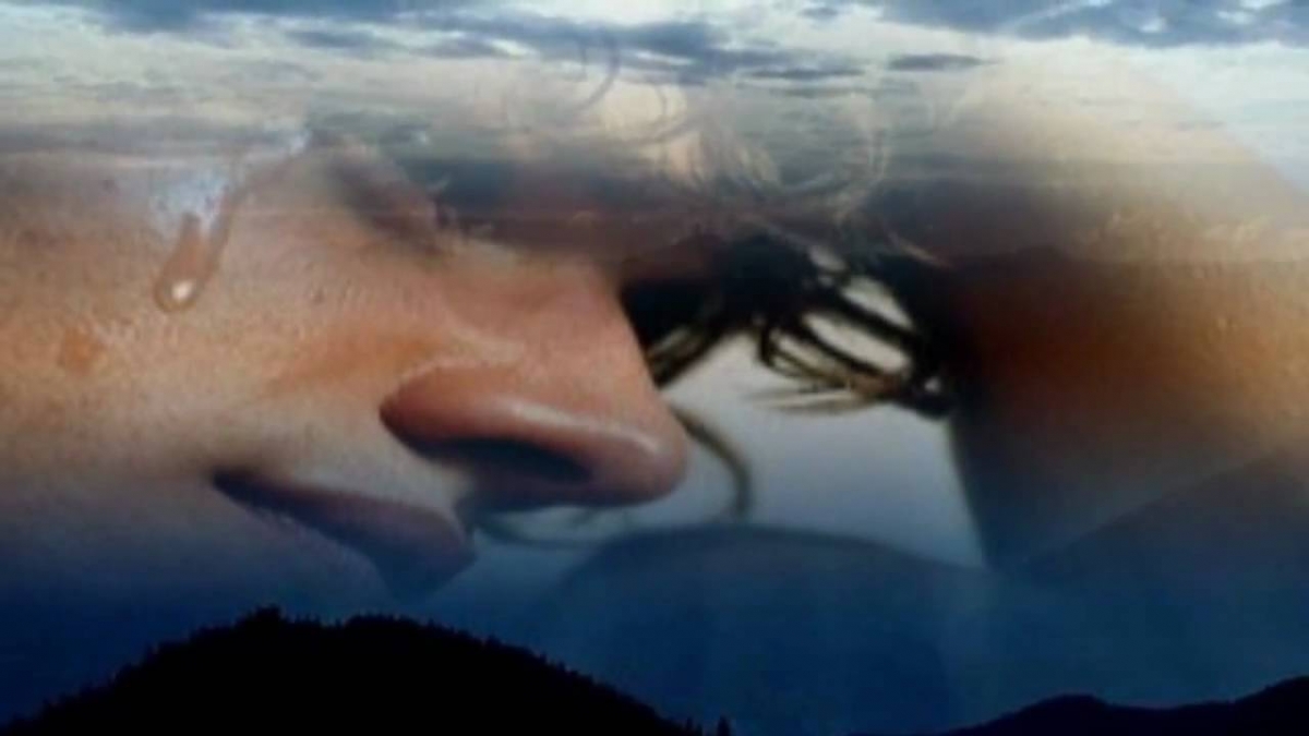 Enigma - Why