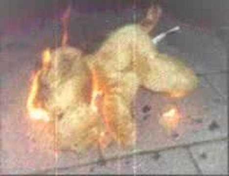 sven väth - fire