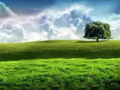 Flogging Molly - Whistles the wind
