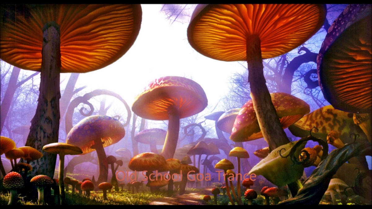 Psychedelic GOA Trance - Mix 2013 (G.S.)