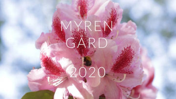 Myren Gård 2020