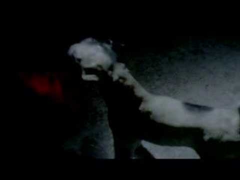 Mogwai - "Friend of the Night"