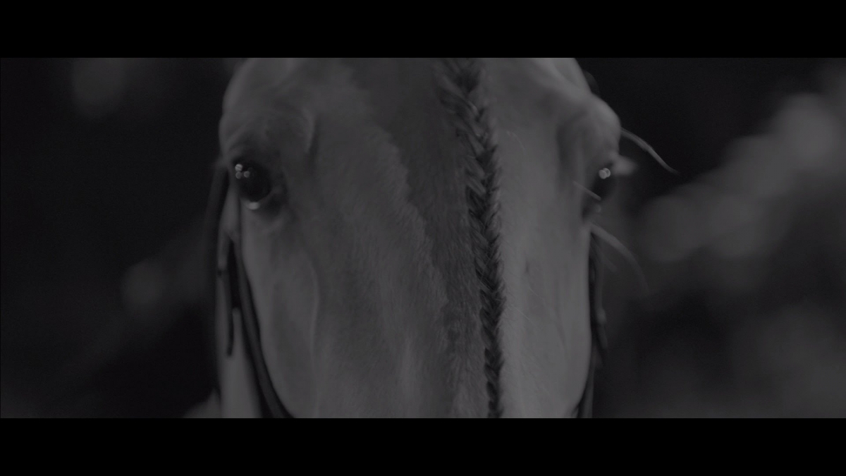 Smolik / Kev Fox - Run (Official Video)