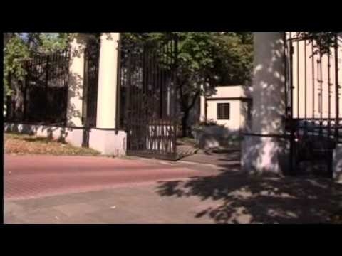 Mgła (1/4)