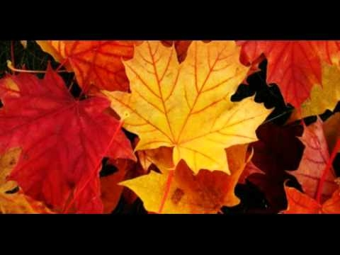 Hanna Banaszak - Jesienny Pan (Mr. Autumn)