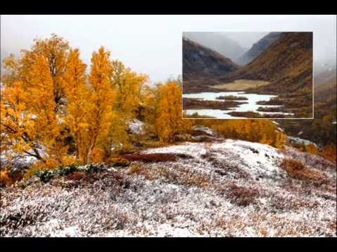 Autumn in Norway - Music by Yann Tiersen
