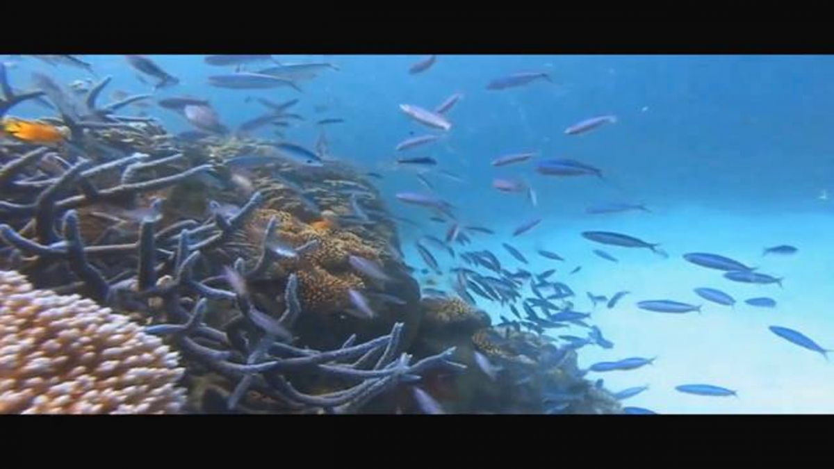 God's ChillOut playlist 4 (Tropic Footage)