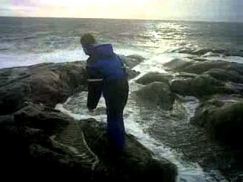 Polacy w Norwegii - Walka z Falami