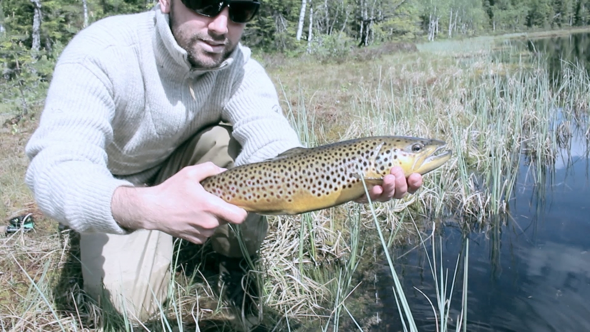 Fluefiske / fly fishing in Nordmarka, Oslo, Norway
