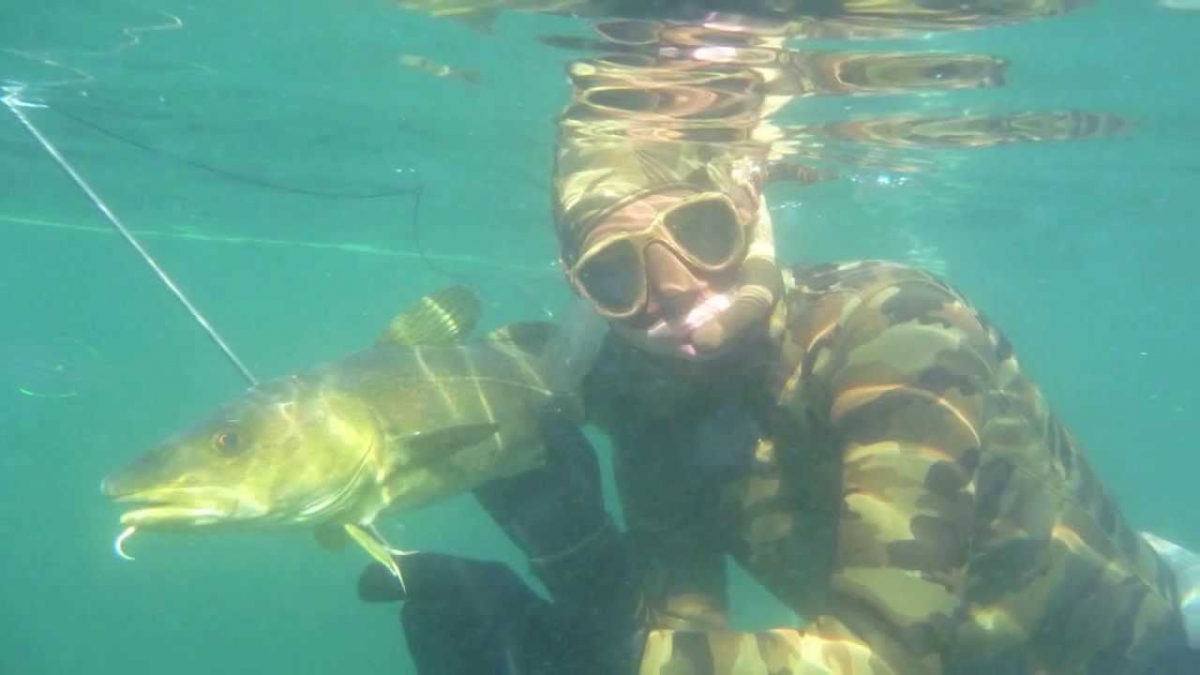 Spearfishing trip to Kristiansund Norway with spearfishing club KUK. New edition