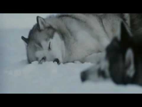 Nightwish - While your lips are still red.flv