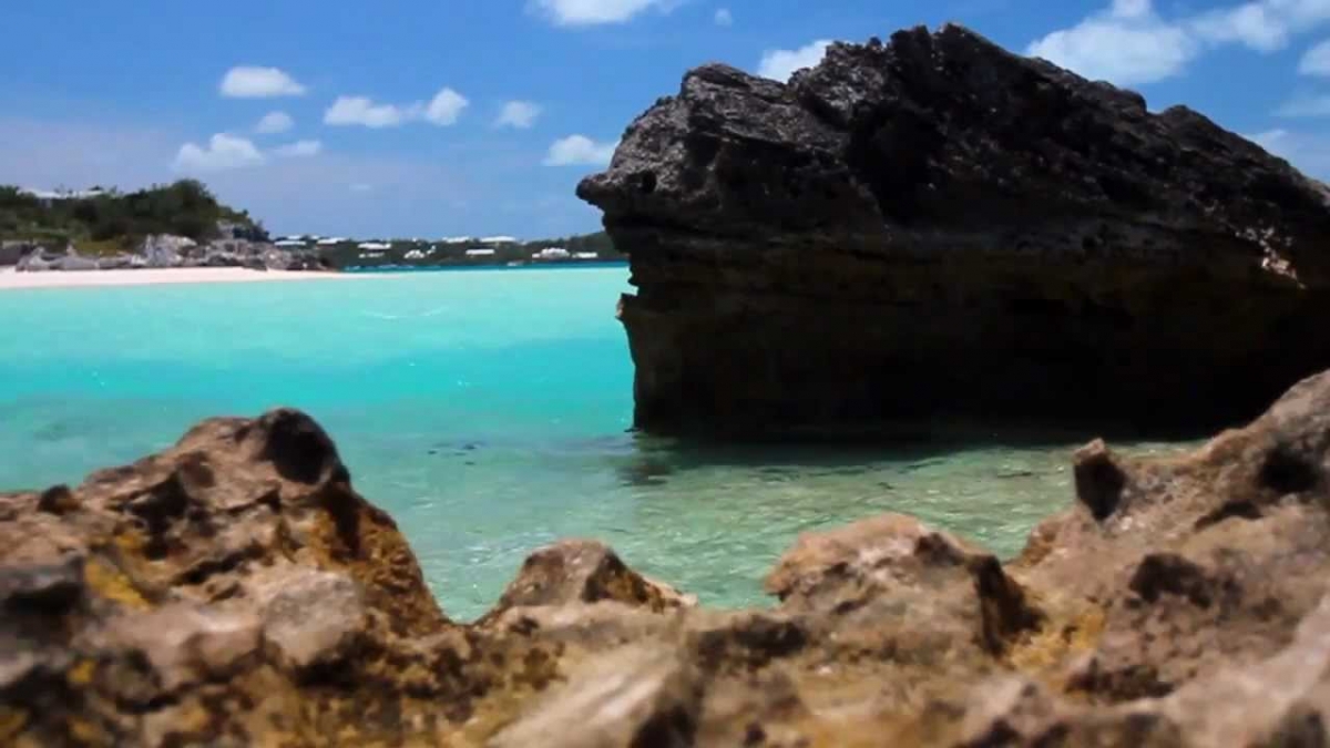 Trip Of A Lifetime - Cliff Jumping in Bermuda